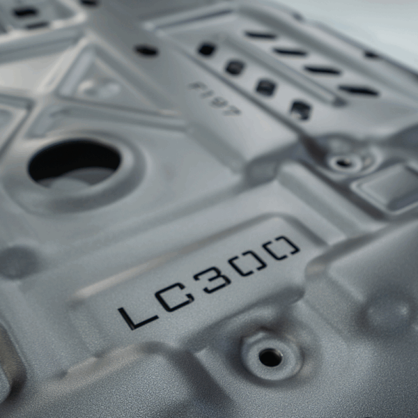 Элгэвч - Toyota Land Cruiser 300